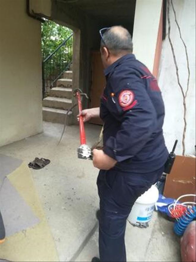 KAYSERİ İTFAİYESİ 6 AYDA 54 YILAN YAKALADI